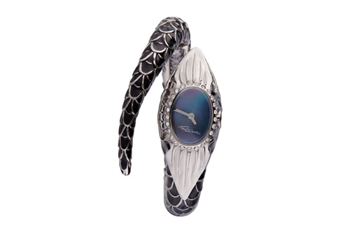 Showroomprive.it - Roberto cavalli 119 Euro