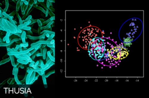 Food safety and Risk analysis. Sfida Thusia