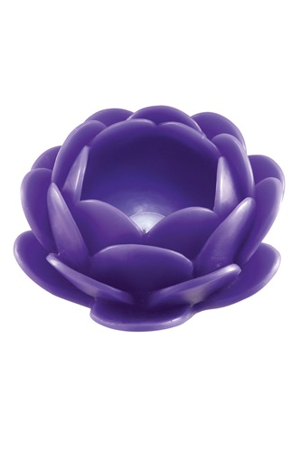 Showroomprive.it Point a la ligne  8,90 Euro