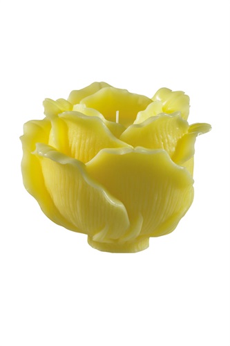 Showroomprive.it Point a la ligne 6 Euro.jpg