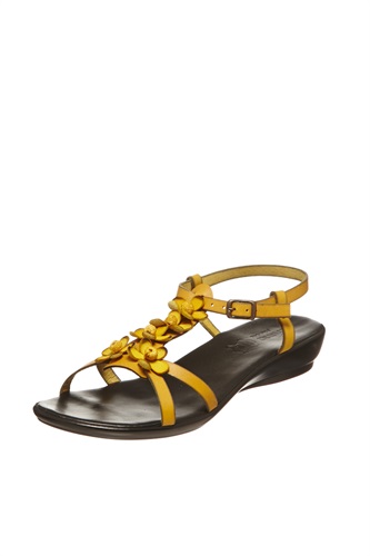 Showroomprive.it Arima & Ayame 23€