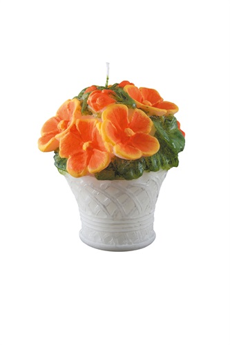 Showroomprive.it Point a la ligne  4,80 Euro