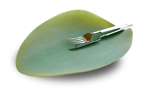 Casa e Cucina - Covo - Season Plate,  Piatto a foglia - Disponibile su Amazon.it