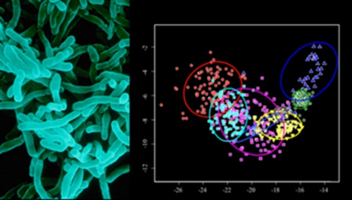 Matematica e sicurezza alimentare.png