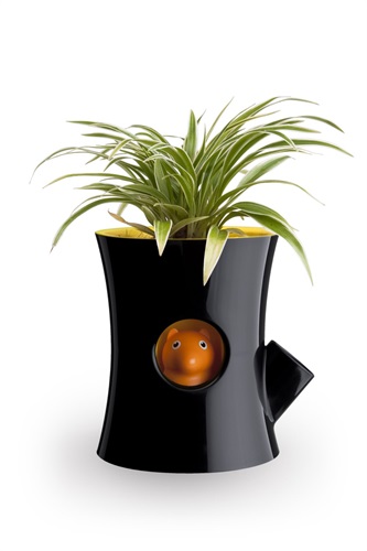Qualy - Log & Squirrel vaso per piante auto innaffiante -  Disponibile su Amazon.it