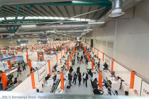 Panoramica dei padiglioni NF 2015