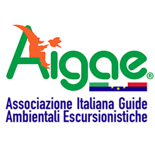 AIGAE_LOGO_300x300ridotto.png