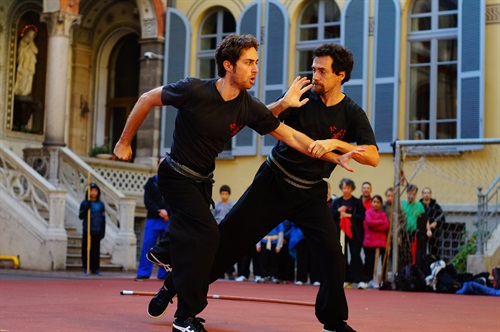Spettacolo di arti marziali
