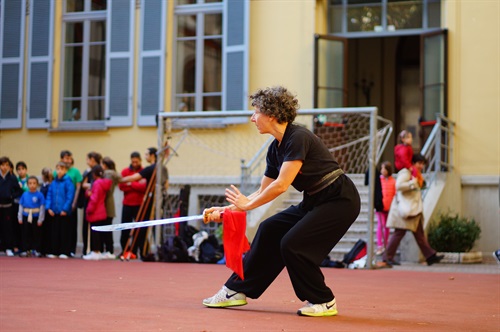 Spettacolo di arti marziali