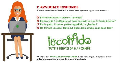 annuncio avvocato.jpg