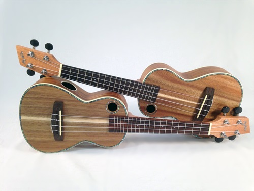 Corso di ukulele