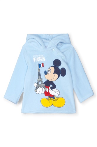 Showroomprive.it Disneyland Paris 5€.jpg