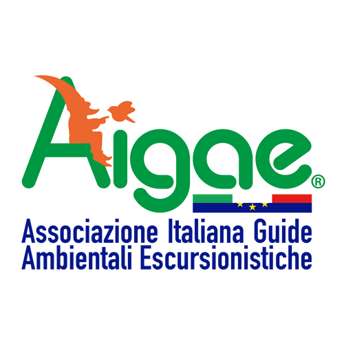 Logo AIGAE