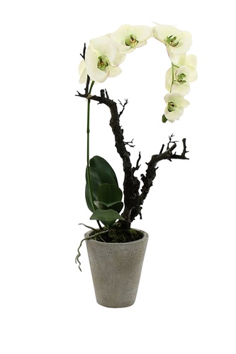 Showroomprive.it Versa 51 Euro