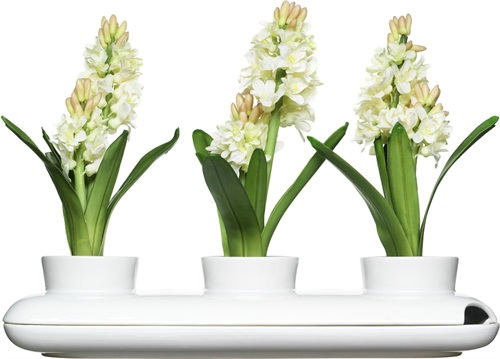 Sagaform - Vasi per piante aromatiche, modello Trio