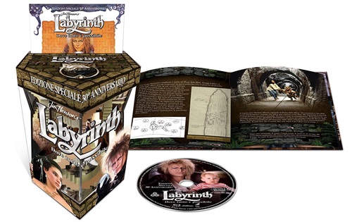 Labyrinth - Dove Tutto È Possibile (30° Anniversario) Maze Edition