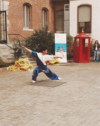 Dimostrazione di Kung-Fu