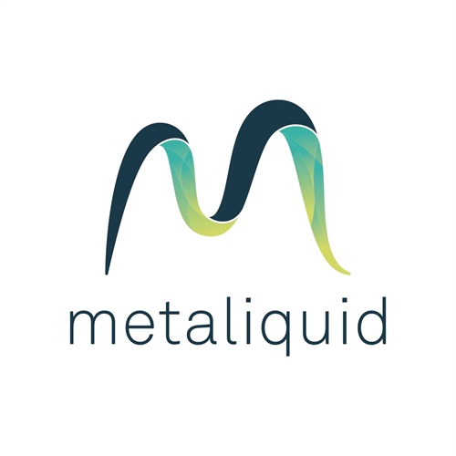 Logo di Metaliquid