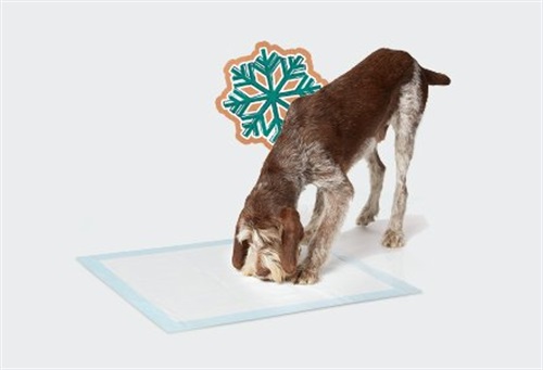 Su Amazon.it arriva il Negozio di Natale