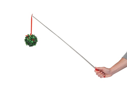 Bastone con vischio di BigMouth Inc