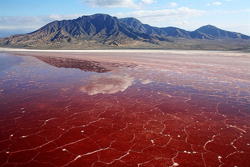 LAGO-NATRON.jpg