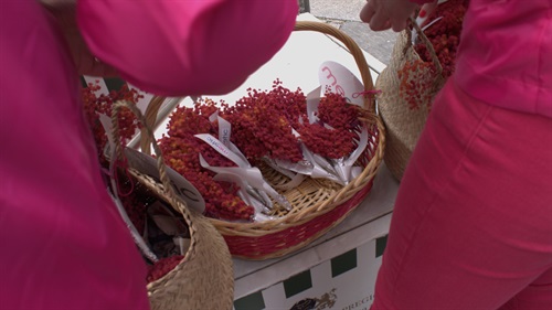 Giornata internazionale della donna 2017