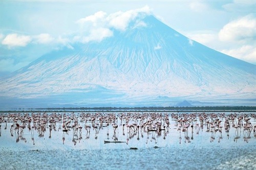 Lago Natron con il vulcano Oldoinyo Lengai.jpg