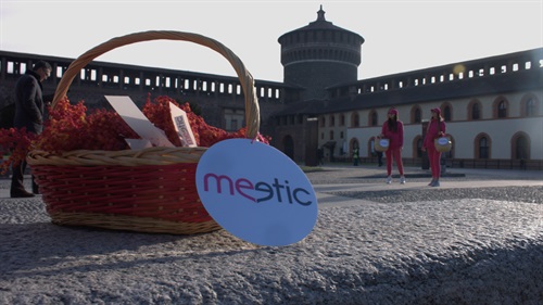 Giornata internazionale della donna: le mimose diventano rosa e sono dirette agli uomini