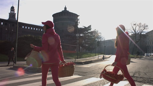 Giornata internazionale della donna 2017