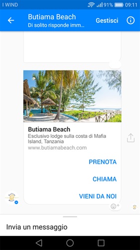 chatbot_butiama_beach_tanzania.jpg