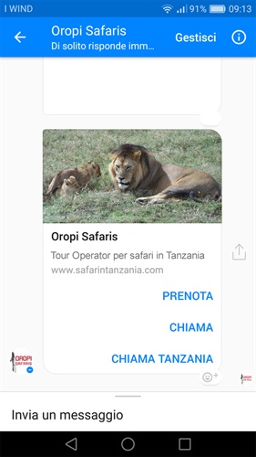 chat bot_magellano_oropi-safaris.jpg