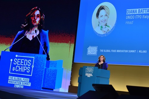 Ms. Diana Battaggia Head UNIDO ITPO Italy (2).jpg