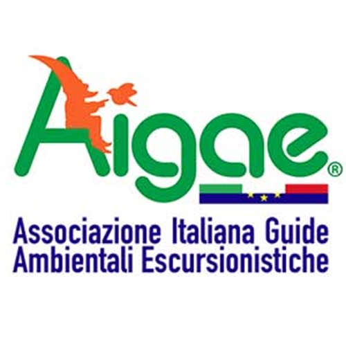 AIGAE_LOGO_.jpg