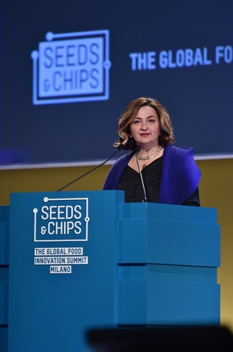 Ms. Diana Battaggia Head UNIDO ITPO Italy.jpg