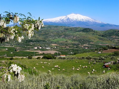 ETNA.jpg