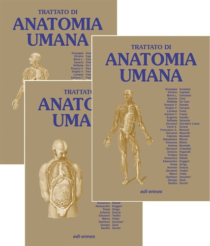 Anatomia umana.