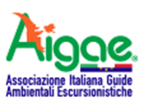 AIGAE_LOGO_versione_B_300px.png