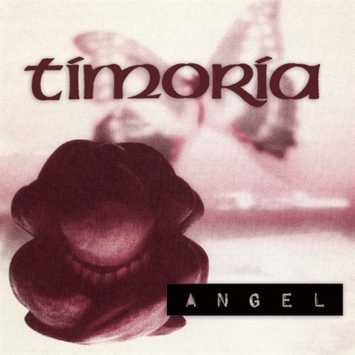Timoria - 
Angel / I can't explain [45 giri] - Esclusiva Amazon 