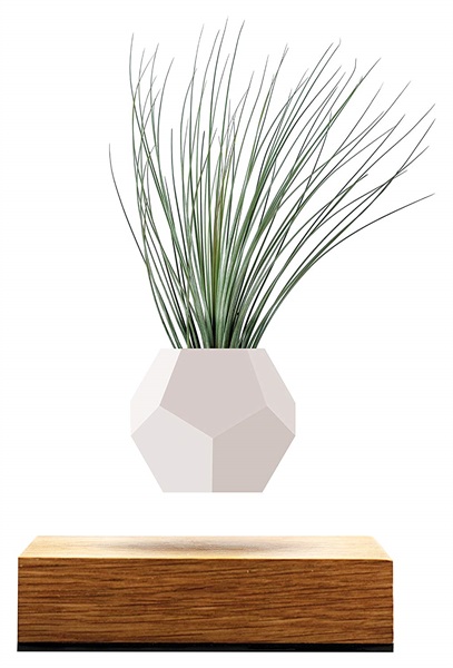 Lyfe Vaso fluttuante in legno di FLYTE.