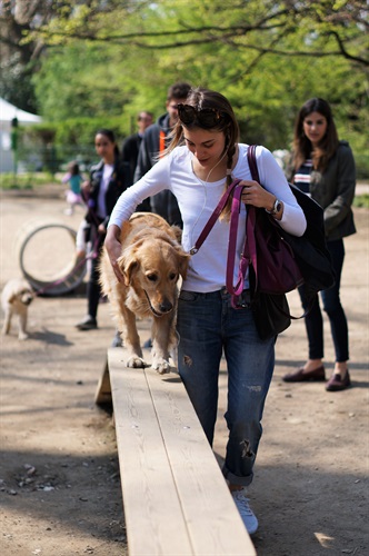 Inaugurazione mobility dog park di Amazon presso i Giardini Indro Montanelli (credit: Marco Ferrario)