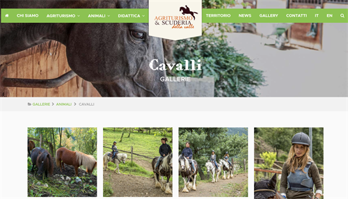 Scuderie della Valle www.scuderiadellavalle.it