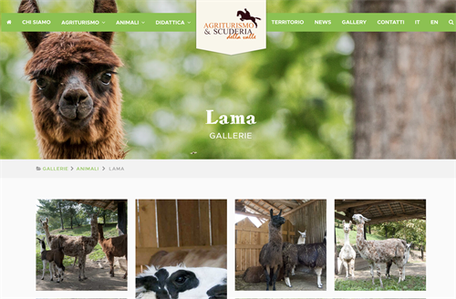 Scuderie della Valle www.scuderiadellavalle.it