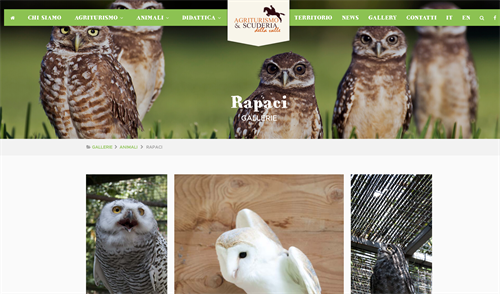 Scuderie della Valle www.scuderiadellavalle.it