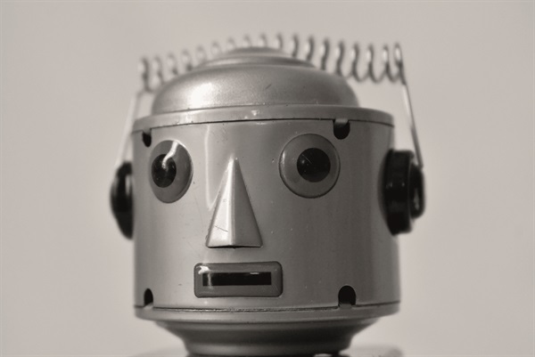 Mr. Robot (Foto di Valentino Candiani)