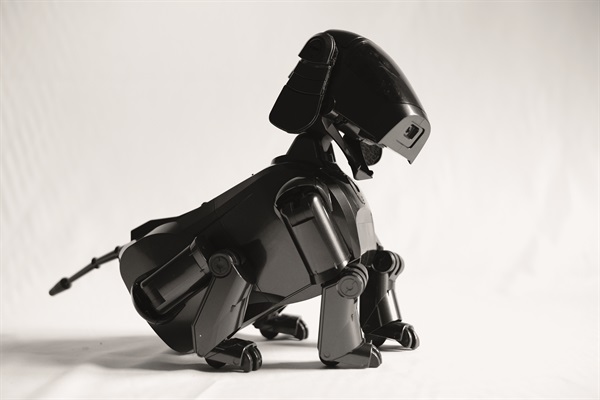 Aibo ERS-111 Black (Foto di Valentino Candiani)