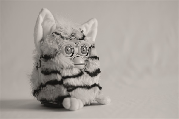 Furby (Foto di Valentino Candiani)