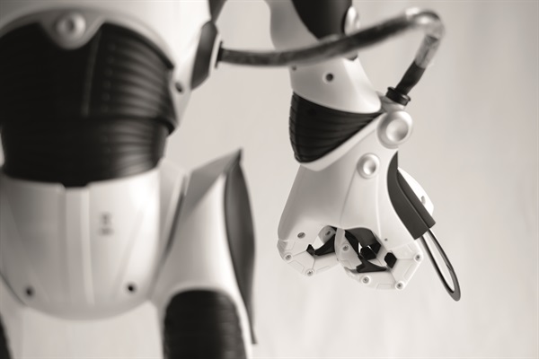 Robosapien V2 (Foto di Valentino Candiani)