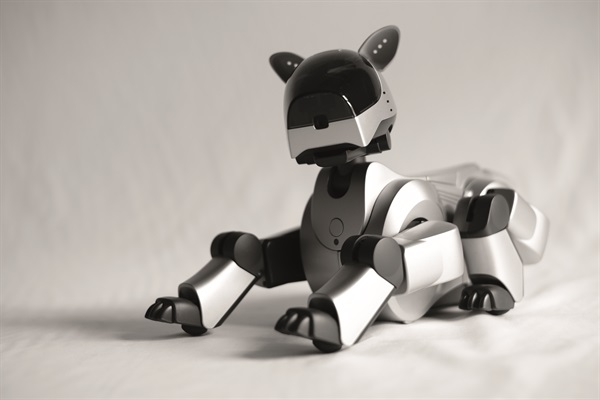 Aibo ERS-210 Beige (Foto di Valentino Candiani)