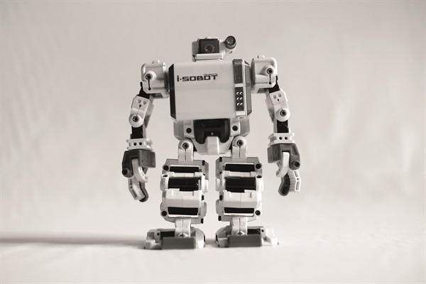 i-Sobot (Foto di Valentino Candiani)