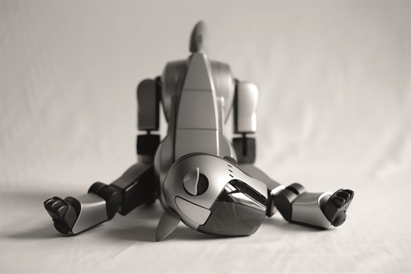 Aibo ERS-210 Beige (Foto di Valentino Candiani)